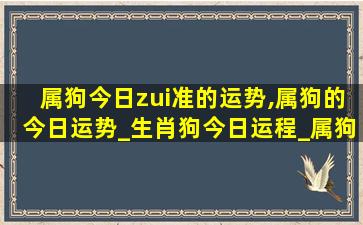 属狗今日zui
准的运势,属狗的今日运势_生肖狗今日运程_属狗人今日财运_事 🌴 ...